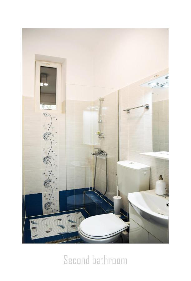 Apartament Dinicu, Brasov, Romania المظهر الخارجي الصورة
